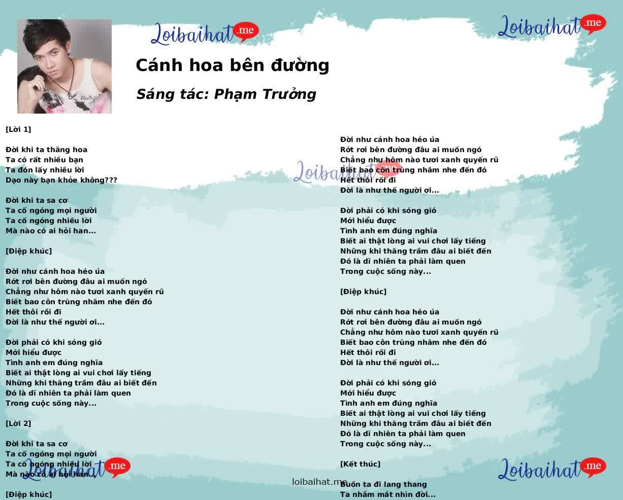 Cánh hoa bên đường