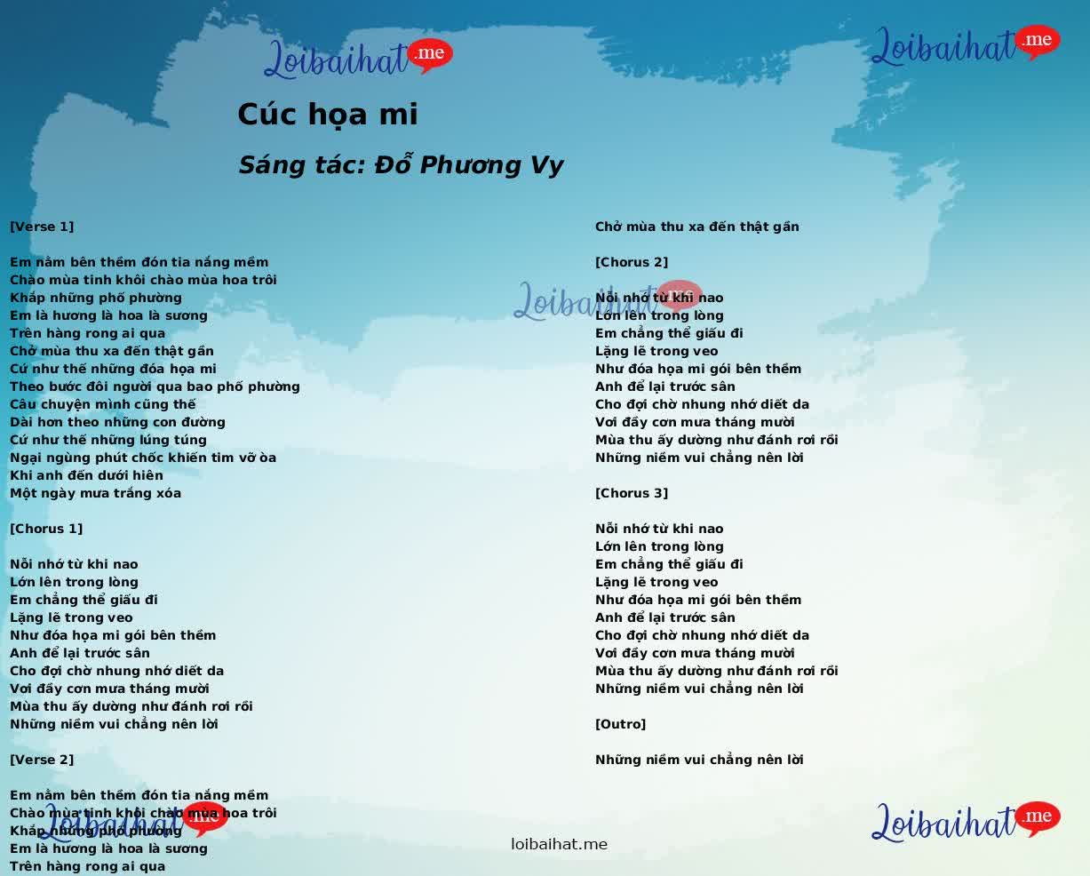 Cúc họa mi
