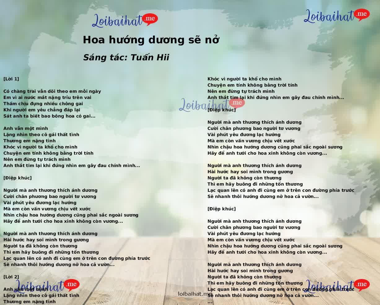 Hoa hướng dương sẽ nở