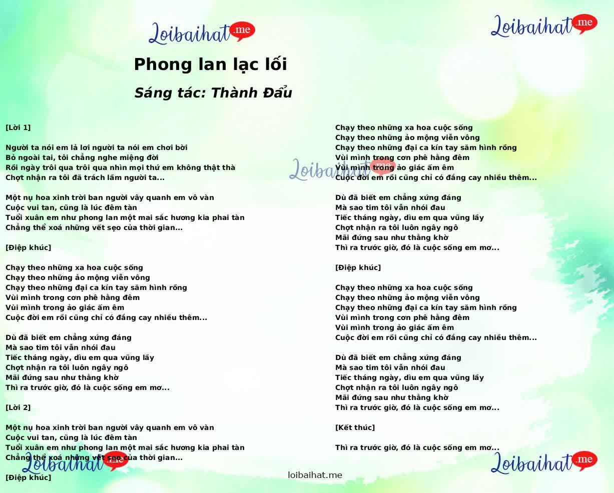 Phong lan lạc lối